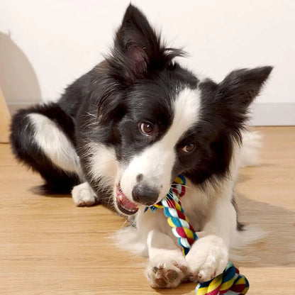 Copper's Braided Tug of War Dog Toy