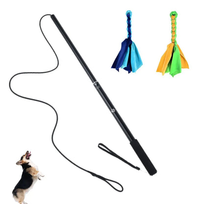 Copper's Retractable Flirt Pole Dog Toy