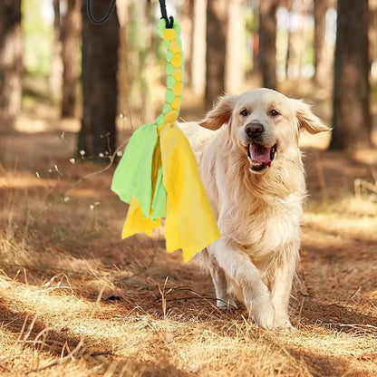 Copper's Retractable Flirt Pole Dog Toy