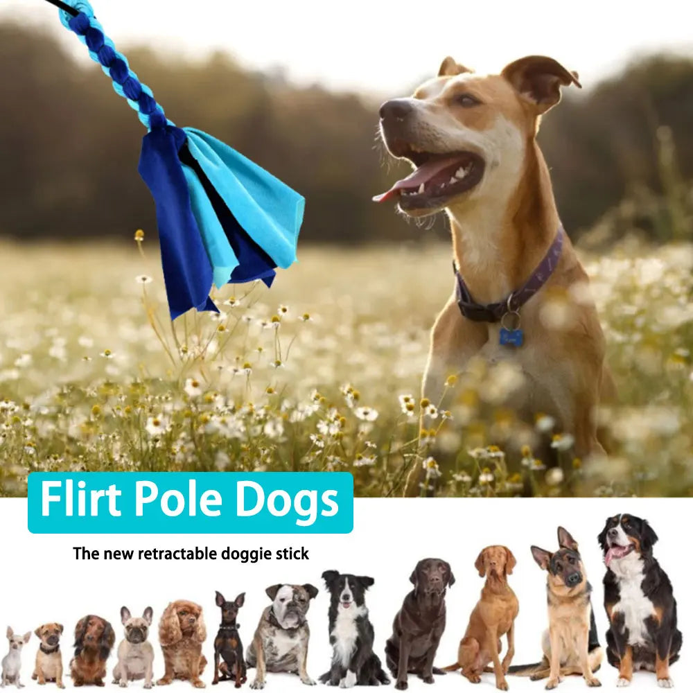 Copper's Retractable Flirt Pole Dog Toy