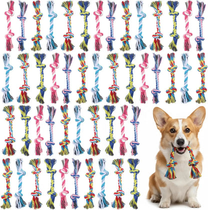 Copper's Braided Tug of War Dog Toy