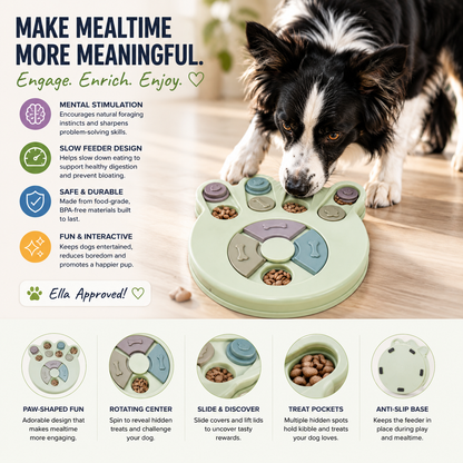 Ella's Multi-Layer Puzzle Slow Feeder Bowl