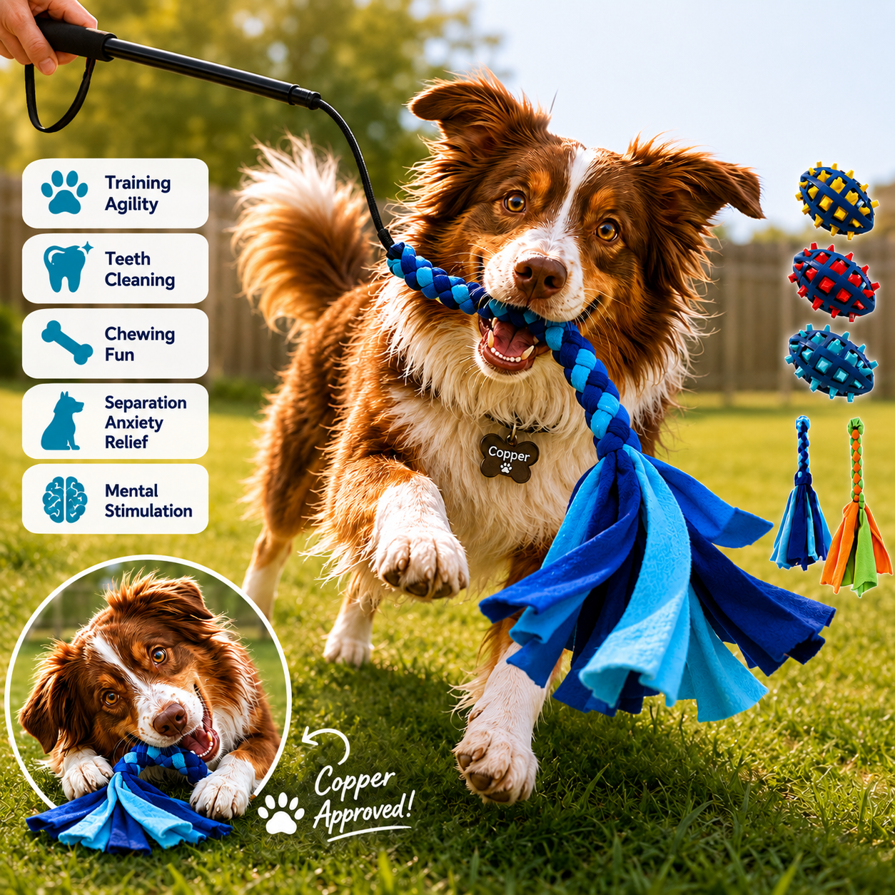 Copper's Retractable Flirt Pole Dog Toy
